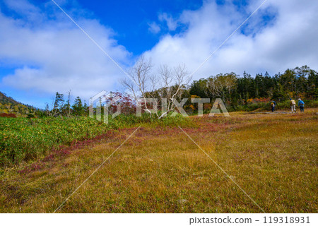 Tsugaike自然公園秋葉 Tsugaike自然公園秋葉 119318931