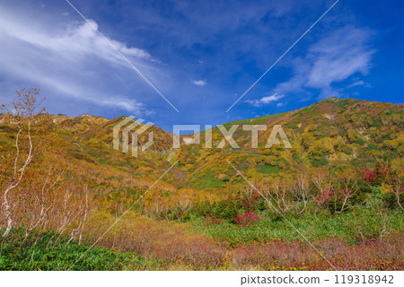 Autumn leaves of Tsugaike Nature Park 119318942