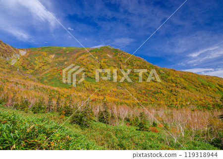 Autumn leaves of Tsugaike Nature Park Autumn leaves of Tsugaike Nature Park 119318944