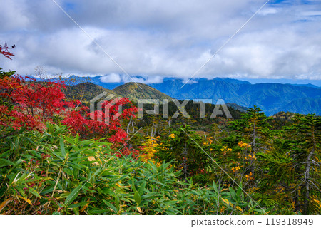 Tsugaike自然公園秋葉 119318949