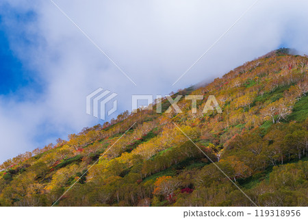 Autumn leaves of Tsugaike Nature Park Autumn leaves of Tsugaike Nature Park 119318956