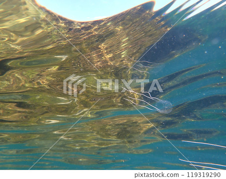 Underwater landscape 119319290