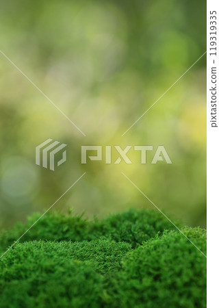 green moss on blurred nature background. Mockup for cosmetics and other products display 119319335