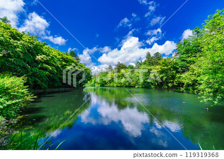 初夏的雲葉池（長野縣輕井澤） 119319368