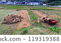 Rice field after harvesting rice 119319388