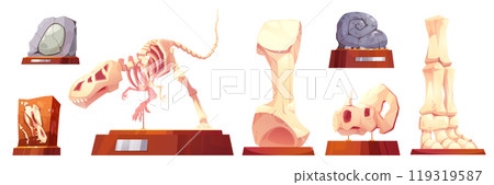 Fossil dinosaur in museum cartoon vector skeleton 119319587