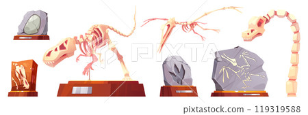 Cartoon set of dinosaur skeletons, fossil stones Cartoon set of dinosaur skeletons, fossil stones 119319588