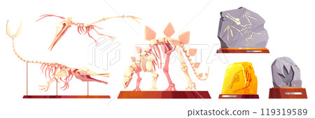 Fossil triceratops and pterodactyl vector skeleton Fossil triceratops and pterodactyl vector skeleton 119319589