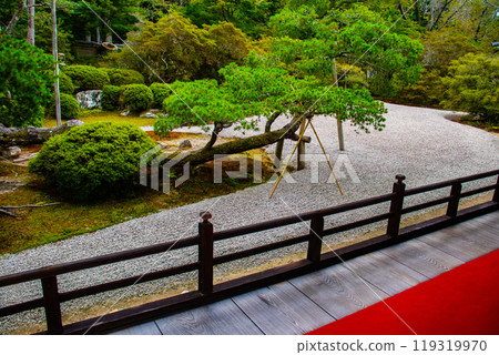 【京都風景】曼殊院、鶴龜枯山水庭園 【京都風景】曼殊院、鶴龜枯山水庭園 119319970