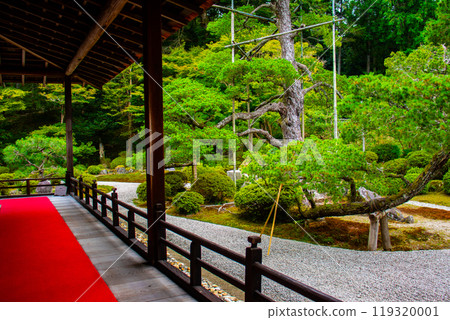 【京都風景】曼殊院、鶴龜枯山水庭園 【京都風景】曼殊院、鶴龜枯山水庭園 119320001