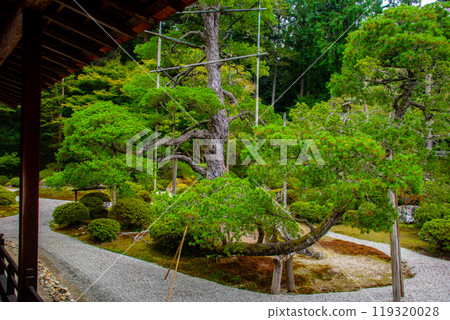 [Kyoto Scenery] Manshuin Temple - Crane and Turtle Dry Landscape Garden 119320028