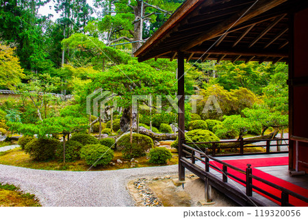 【京都風景】曼殊院、鶴龜枯山水庭園 【京都風景】曼殊院、鶴龜枯山水庭園 119320056