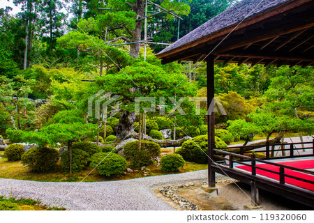 【京都風景】曼殊院、鶴龜枯山水庭園 【京都風景】曼殊院、鶴龜枯山水庭園 119320060
