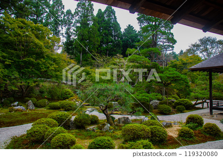 [Kyoto Scenery] Manshuin Temple - Crane and Turtle Dry Landscape Garden 119320080