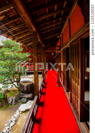 【京都風景】曼殊院、鶴龜枯山水庭園 【京都風景】曼殊院、鶴龜枯山水庭園 119320085