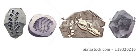 Stones with fossil dinosaur skull, plants, shell 119320216