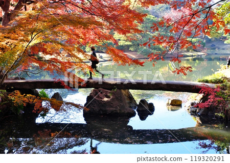 Autumn leaves at Rikugien Togetsukyo Bridge 119320291