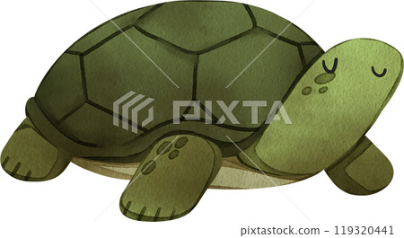 A turtle is peacefully walking and happy, hand-drawn watercolor illustration 119320441