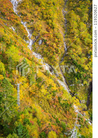 [Nagano Prefecture] Autumn leaves on the slopes as seen from the Komagatake Ropeway in the Central Alps 119320627