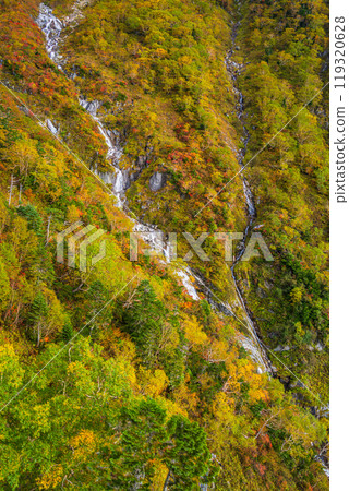 【長野縣】從中央阿爾卑斯駒岳索道看到的斜坡上的紅葉 119320628