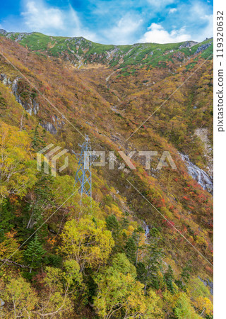【長野縣】從中央阿爾卑斯駒岳索道看到的斜坡上的紅葉 【長野縣】從中央阿爾卑斯駒岳索道看到的斜坡上的紅葉 119320632