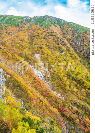 【長野縣】從中央阿爾卑斯駒岳索道看到的斜坡上的紅葉 【長野縣】從中央阿爾卑斯駒岳索道看到的斜坡上的紅葉 119320633