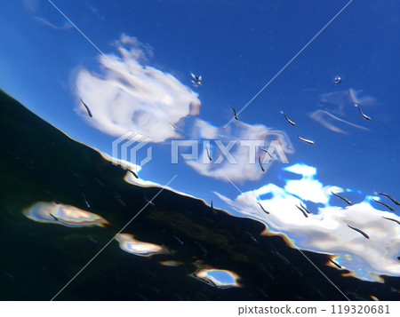 從水下抬頭看天空 從水下抬頭看天空 119320681