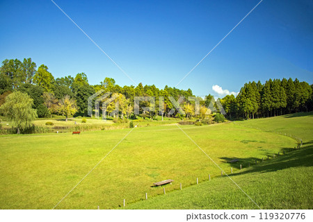 Autumn scenery on the lawn at Tsukuba Expo Memorial Park 119320776
