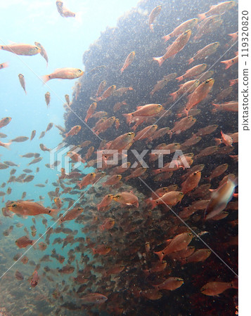 臣服於洶湧的浪潮 臣服於洶湧的浪潮 119320820