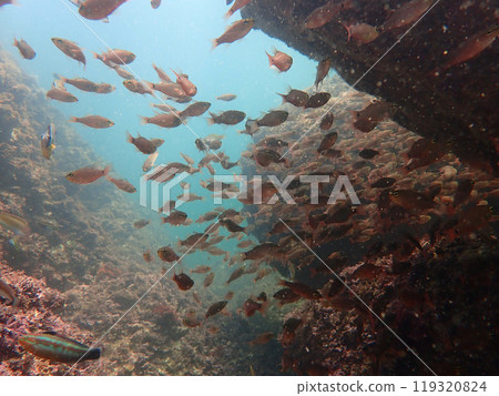 進入人群。 119320824