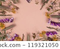 floral circular composition or frame with wildflowers, spikelets, herbs on a peach or beige background. High quality  119321050