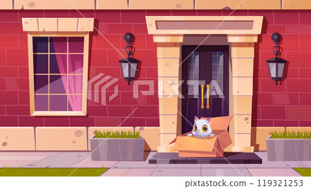 Homeless cat sitting in cardboard box on porch Homeless cat sitting in cardboard box on porch 119321253