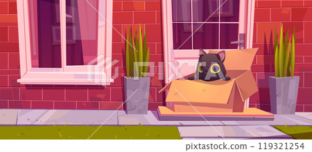 Homeless black cat in cardboard on porch Homeless black cat in cardboard on porch 119321254