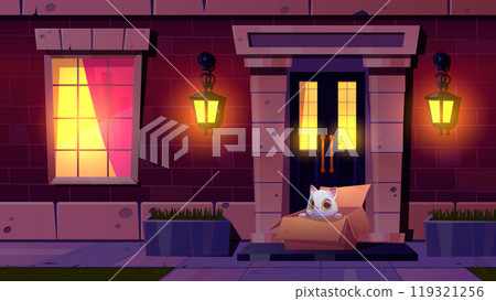 Homeless cat in box on house porch at night 119321256