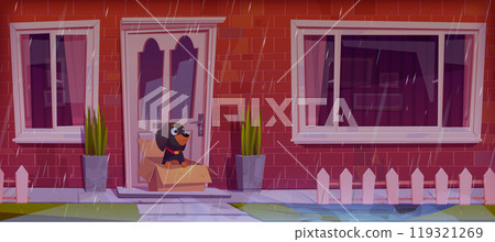 Homeless dog in box on porch in rainy weather Homeless dog in box on porch in rainy weather 119321269