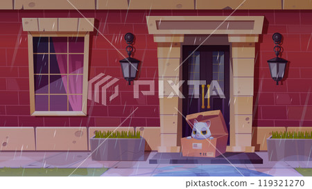 Homeless cat in box on porch in rainy weather Homeless cat in box on porch in rainy weather 119321270