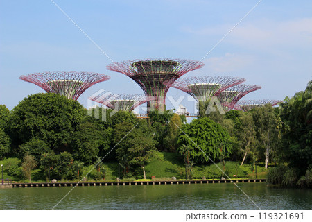 從蜻蜓湖看到的擎天樹 119321691