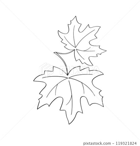 Continuous one line drawing of maple leaf. Maple leaves line art in autumn. Minimalist black linear sketch isolated on white background. Hand drawn vector illustration. 119321824
