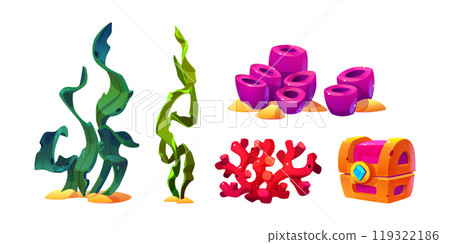 Coral, seaweed, sponge for underwater illustration 119322186