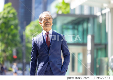 Senior businessman 119322484