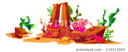 Seaweed and coral on rock underwater illustration 119323094