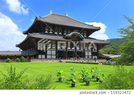 [Nara Prefecture] Todaiji Temple Great Buddha Hall on a clear day 119323472