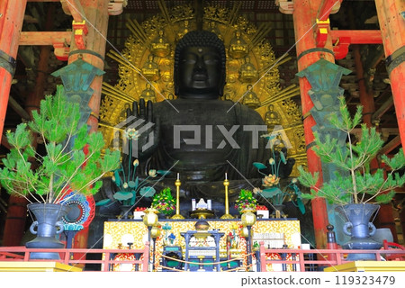 [奈良縣]奈良大佛（東大寺） 119323479