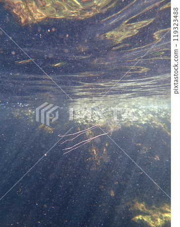 Drifting in shallow water. Drifting in shallow water. 119323488