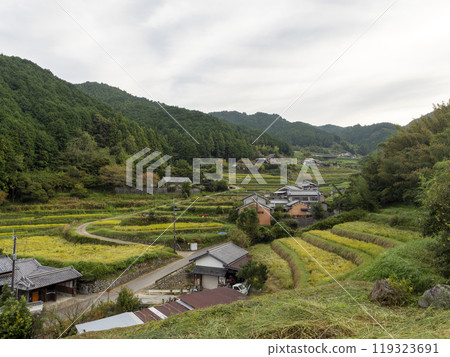 飛鳥村的細川梯田 飛鳥村的細川梯田 119323691