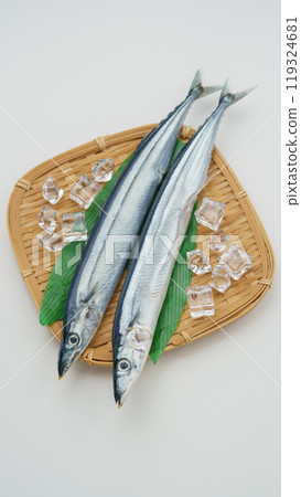 Taste of Autumn | Raw Pacific saury 119324681