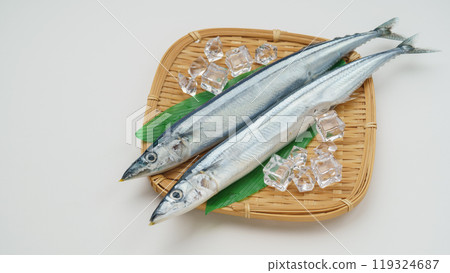 Taste of Autumn | Raw Pacific saury 119324687
