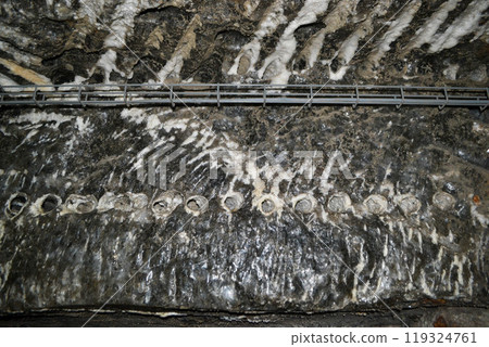 Close Up of marine Salt lake texture and sea salt particles Close Up of marine Salt lake texture and sea salt particles 119324761