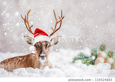 Cute reindeer in a red Santa hat on light background 119324883