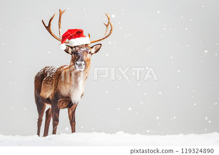 Cute reindeer in a red Santa hat on light background Cute reindeer in a red Santa hat on light background 119324890